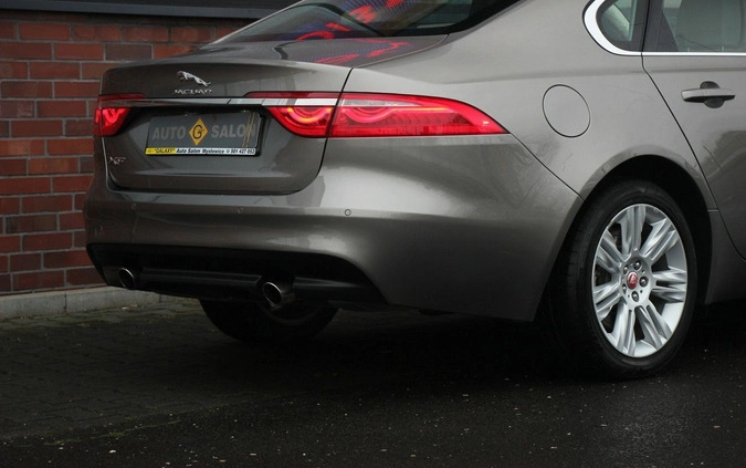 Jaguar XF cena 125990 przebieg: 23000, rok produkcji 2018 z Łasin małe 781